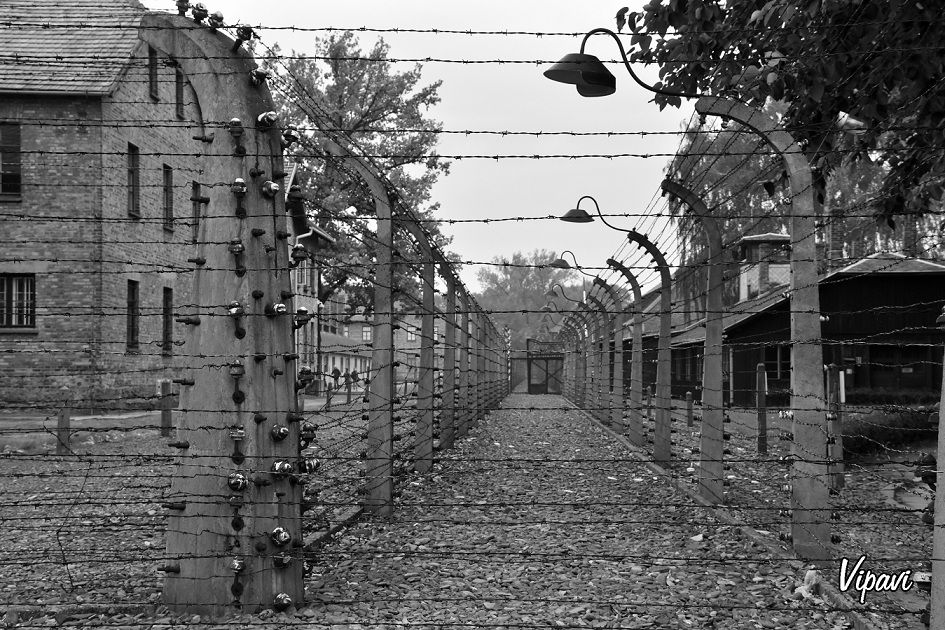 Auschwitz 18